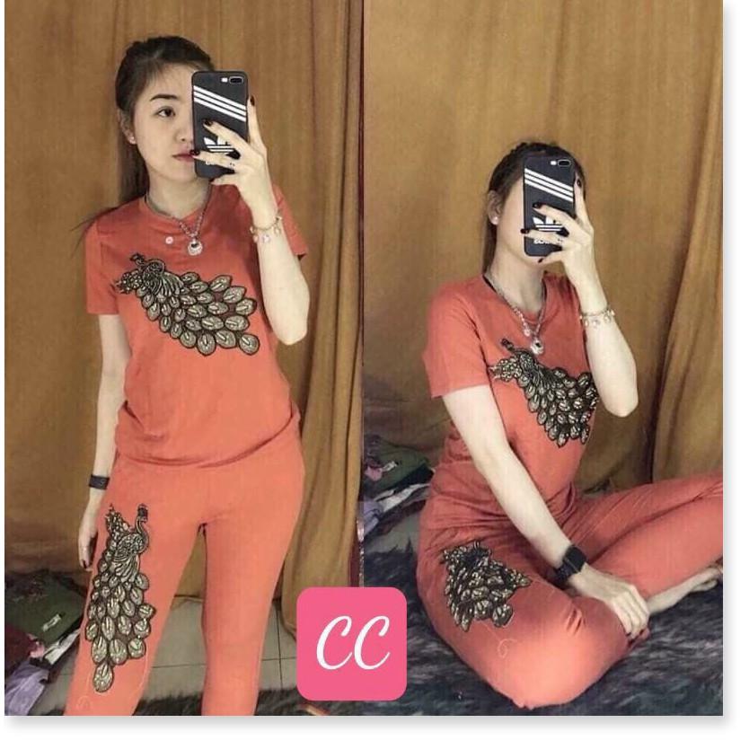 SET ĐỒ BỘ NỮ THUN,CHẤT LIỆU VÃI THOÁNG MÁT VÀ CO GIẢN 4C LANA FASHION