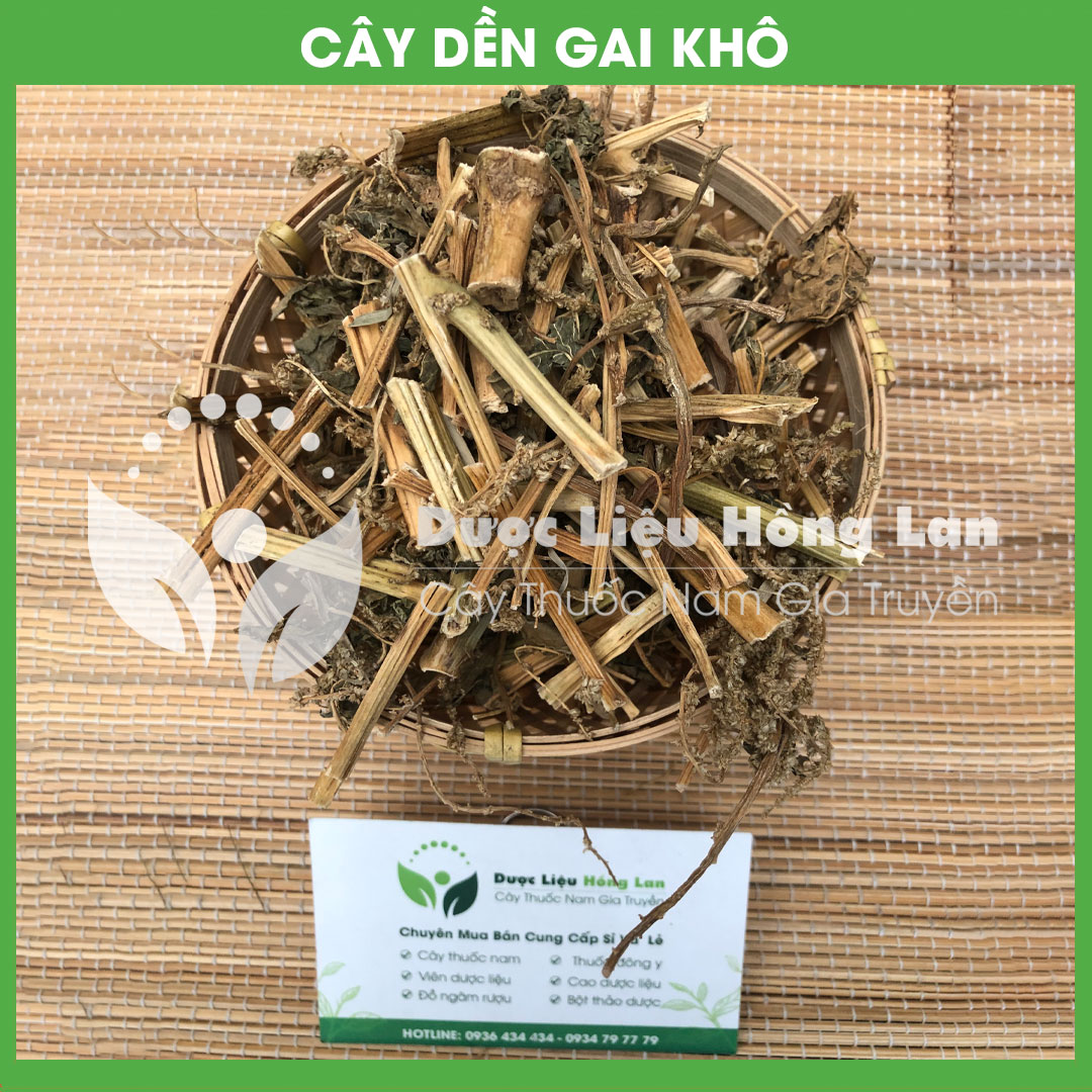 Cây Dền Gai khô sạch đóng gói 500gram