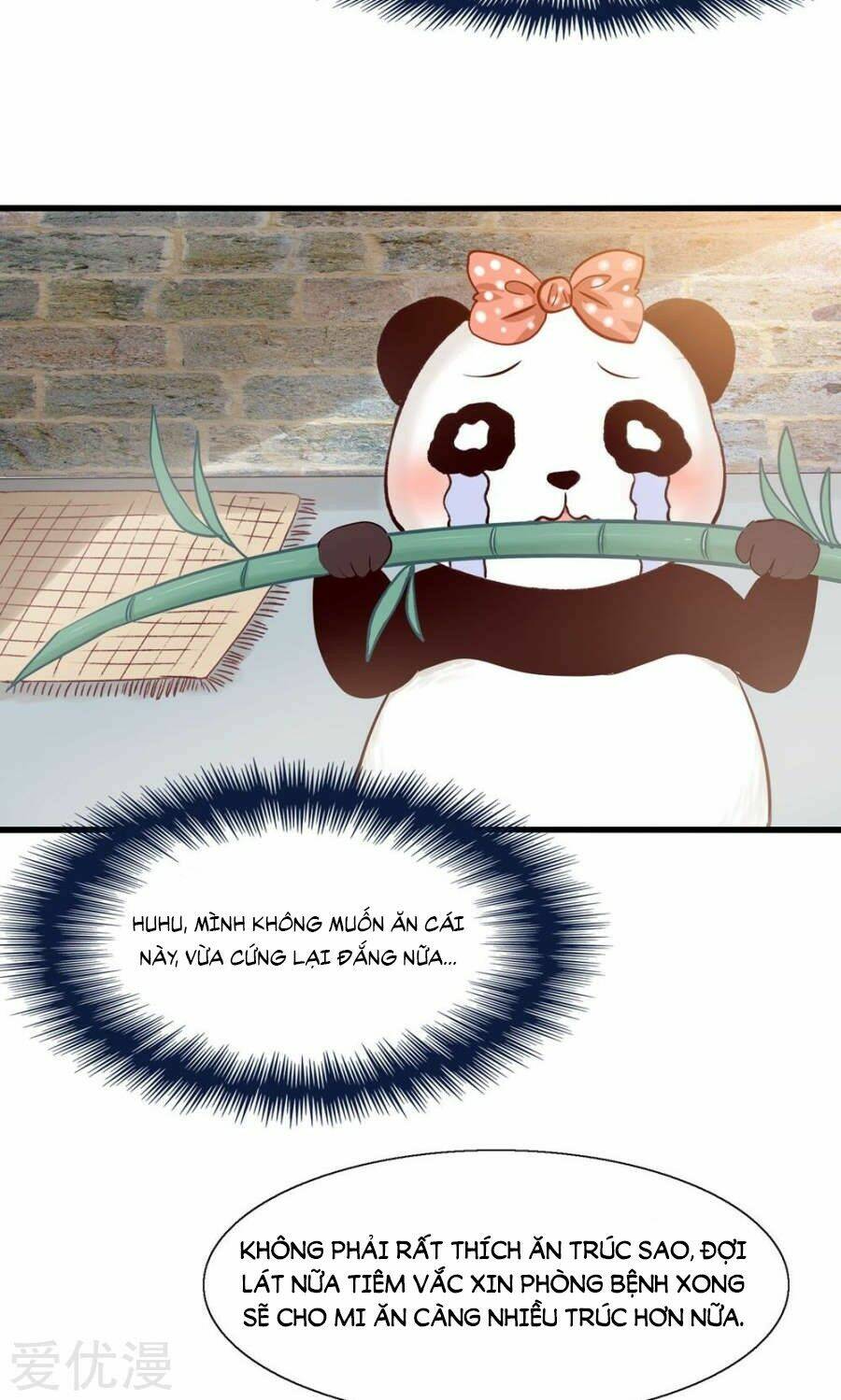 tôi bị gấu trúc nhìn trúng rồi chapter 4 30