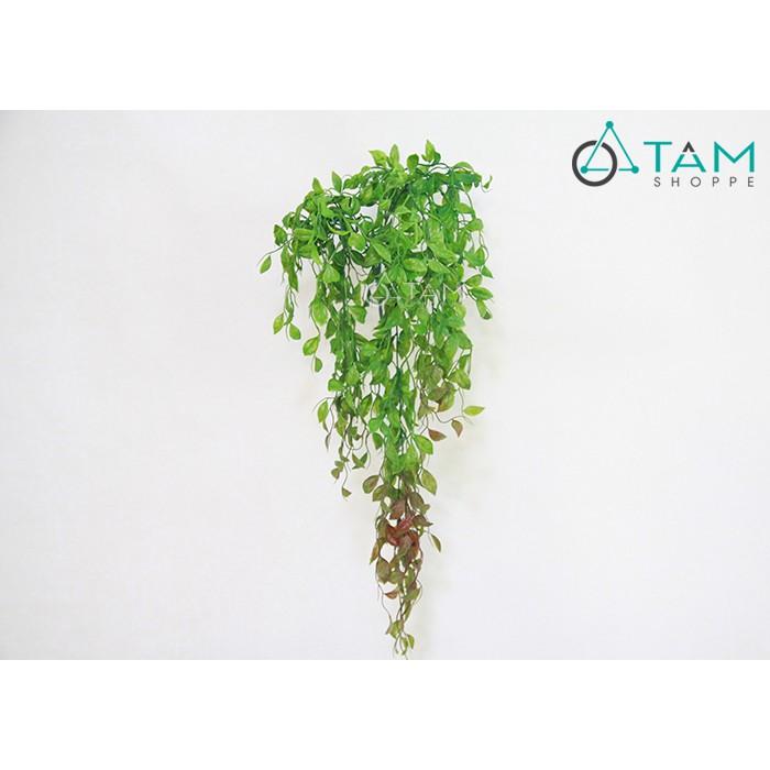 Bụi cây lá chanh rũ cây giả số 64