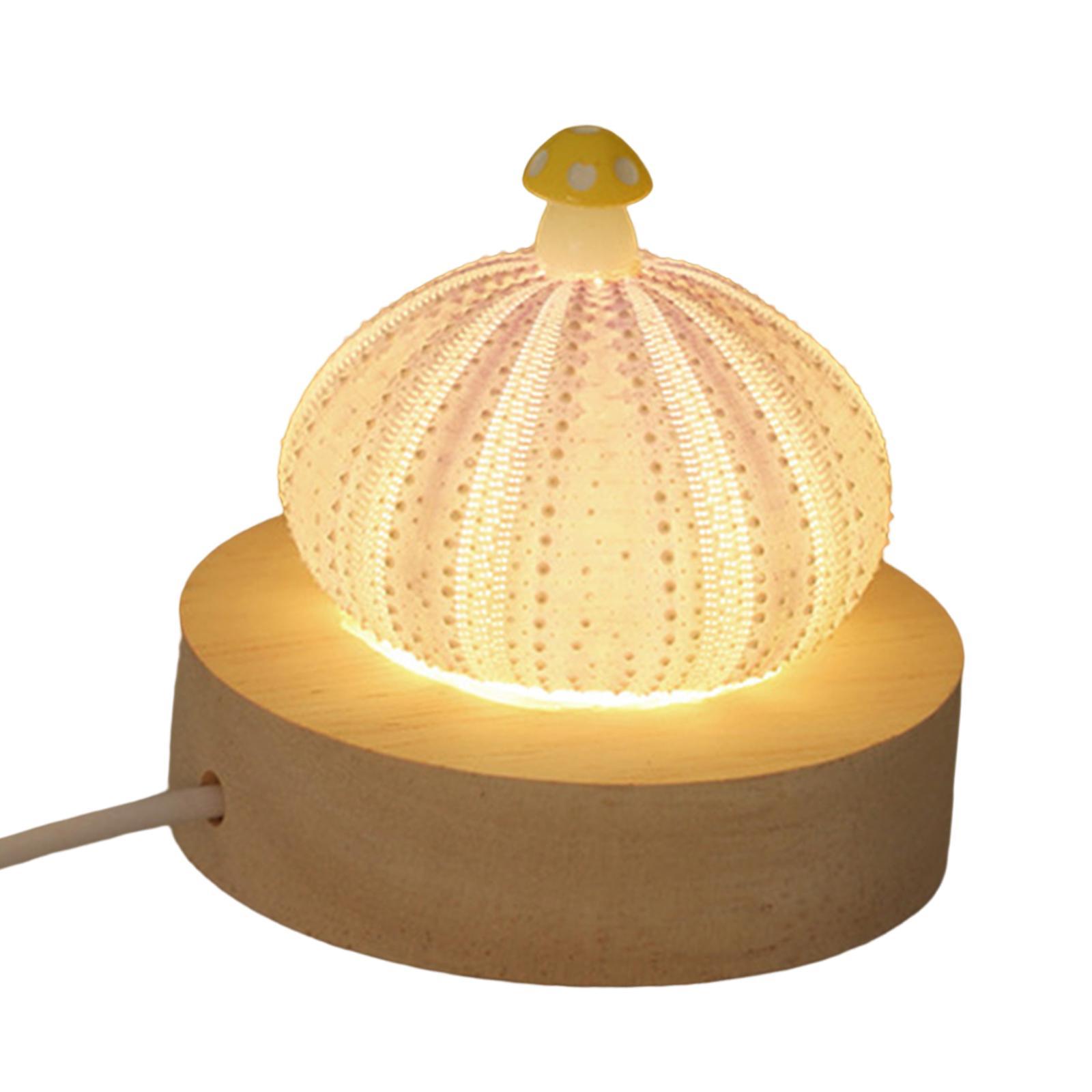 Decorative Table Lights Shell with LED Function Birthday Gift Mini Table Lamp