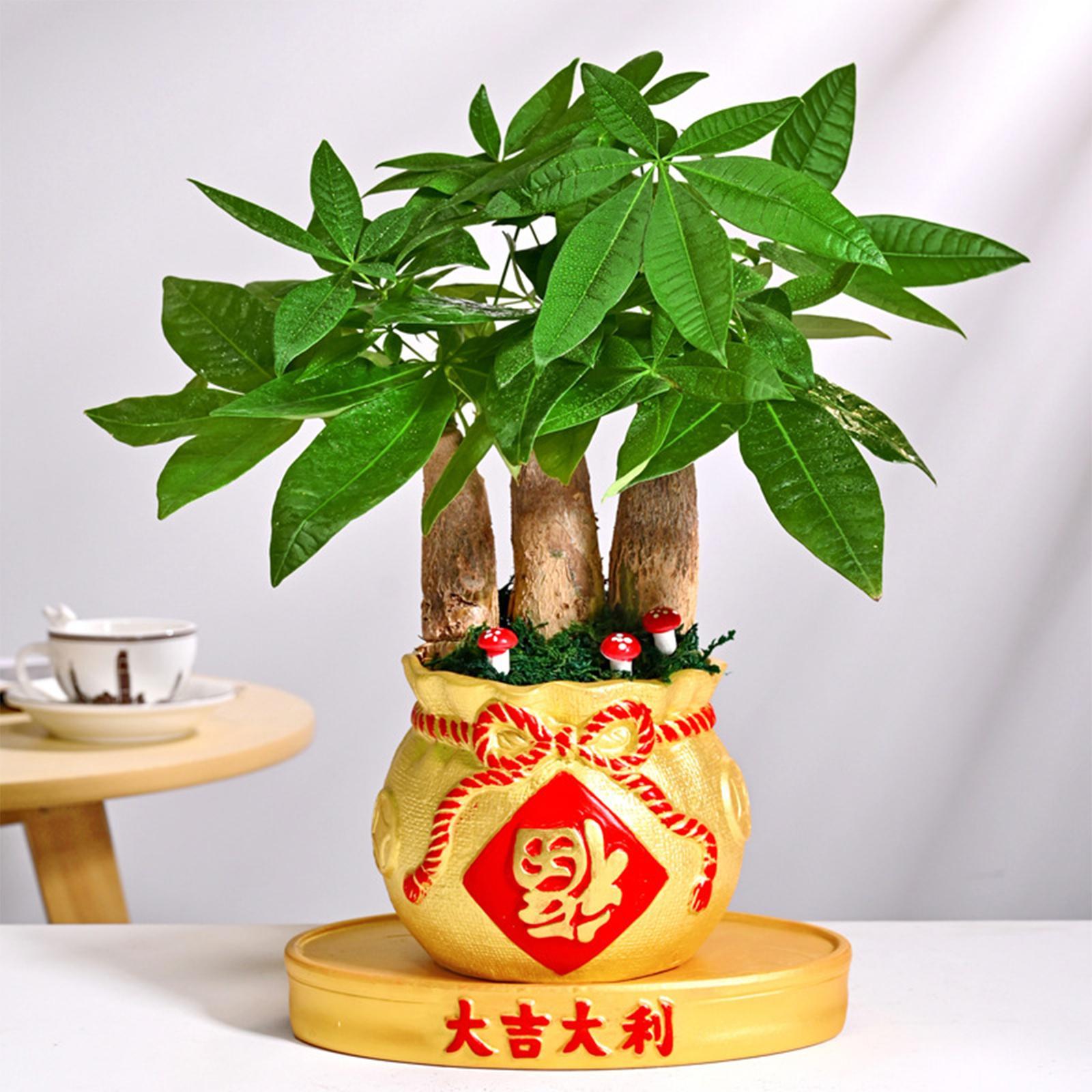 Flower Vase Planter Pot  Shape Feng Shui Art for Home Living Room