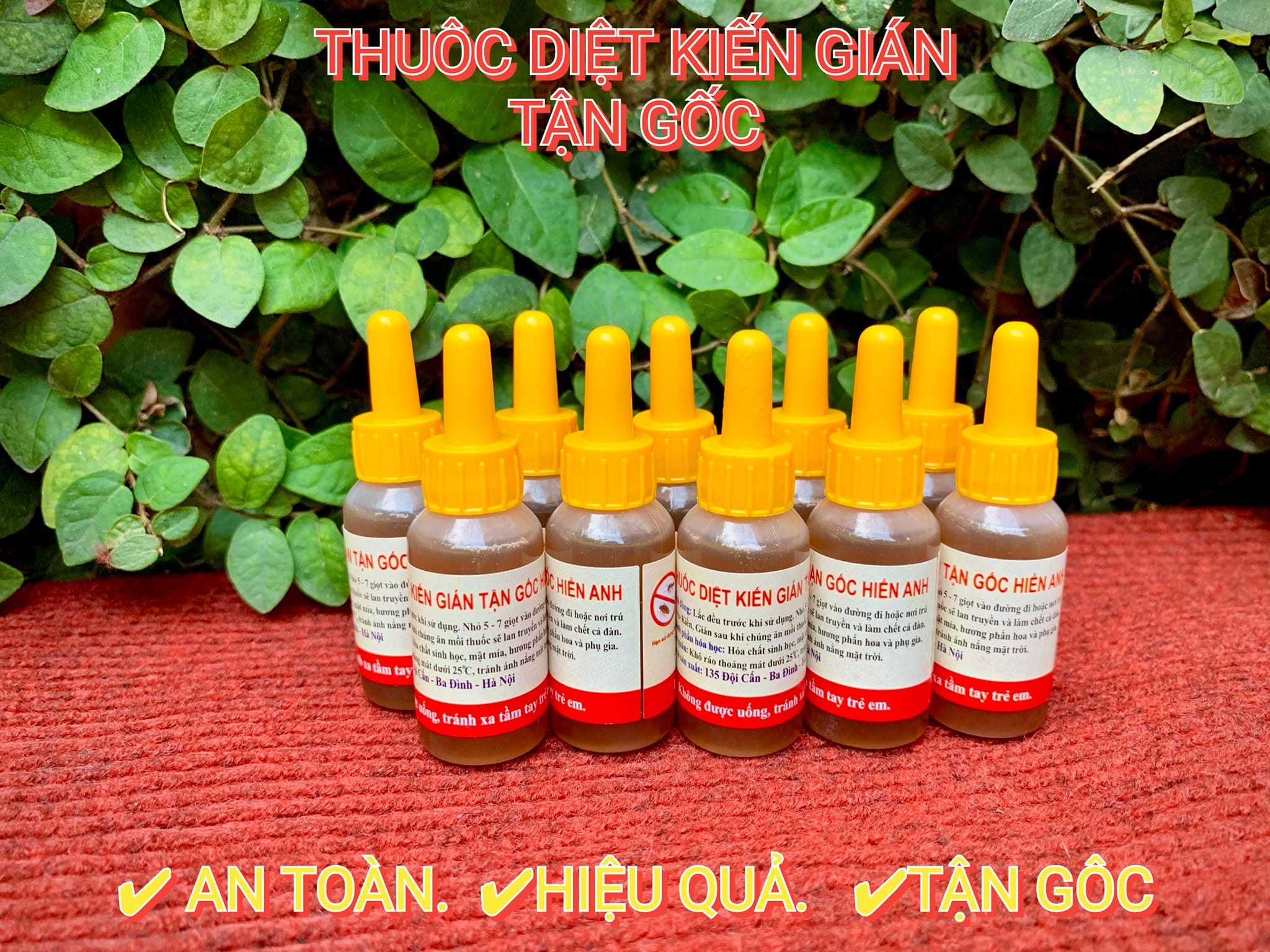 Thuốc Diệt Kiến Gián Sinh Học, Diệt Sạch Kiến Gián Tận Gốc, 100% An Toàn, Hiệu Quả Cao