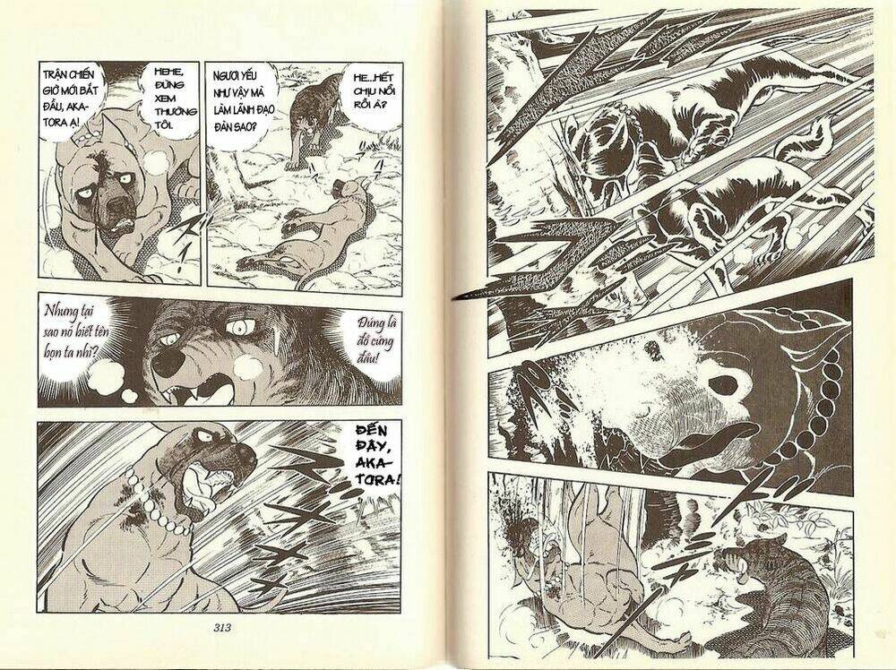 chú chó có nghĩa - ginga nagareboshi gin chapter 12 23