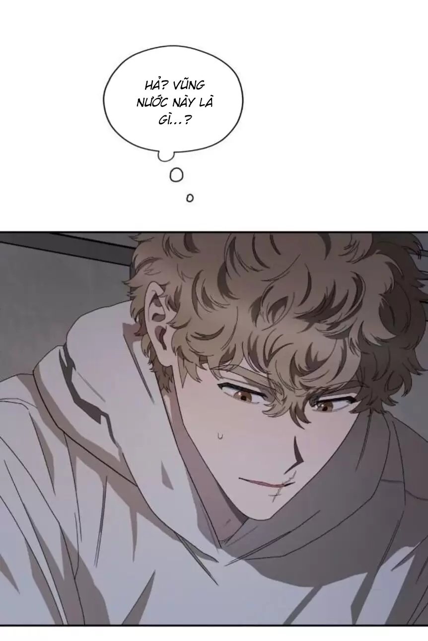 liveta chapter 33 33