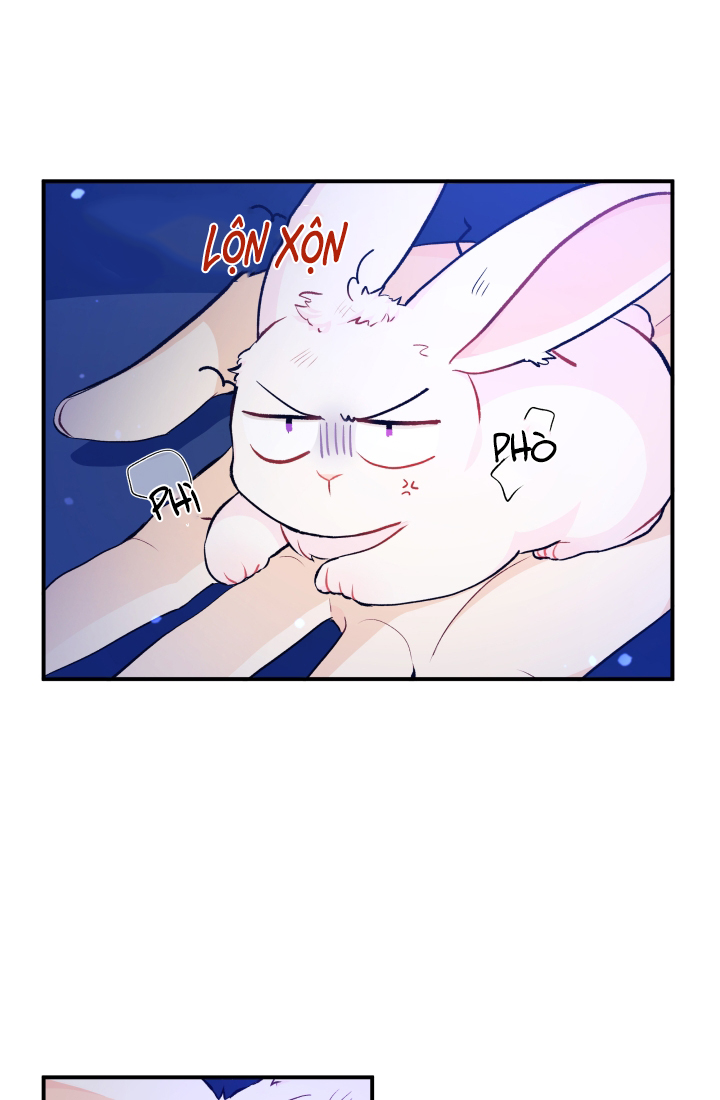 mối liên kết giữa báo đen và bé thỏ chapter 4 35