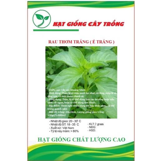 Hạt giống rau húng thơm - Rau thơm sả CT141 - Gói 2gram