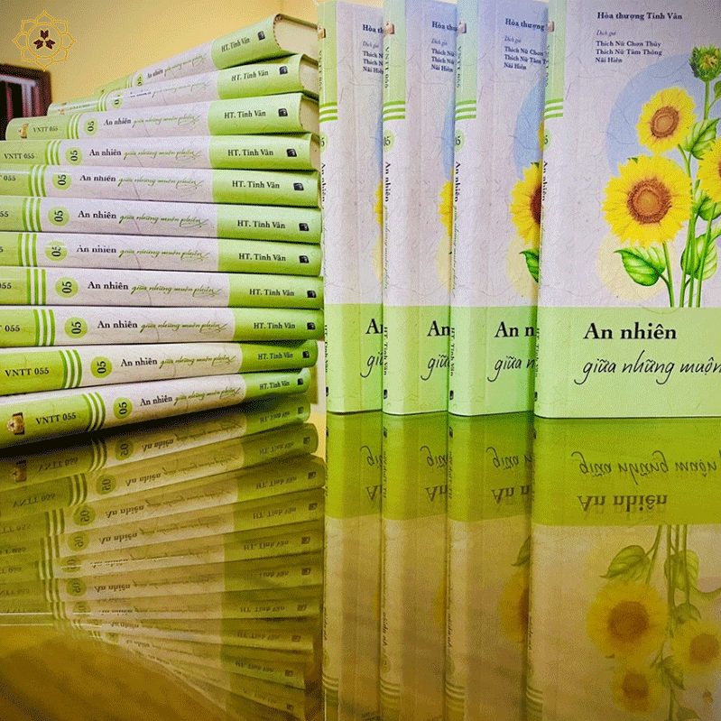 Sách - An nhiên giữa những muộn phiền - VNTT055 - Ranh giới giữa mê và ngộ tập 05