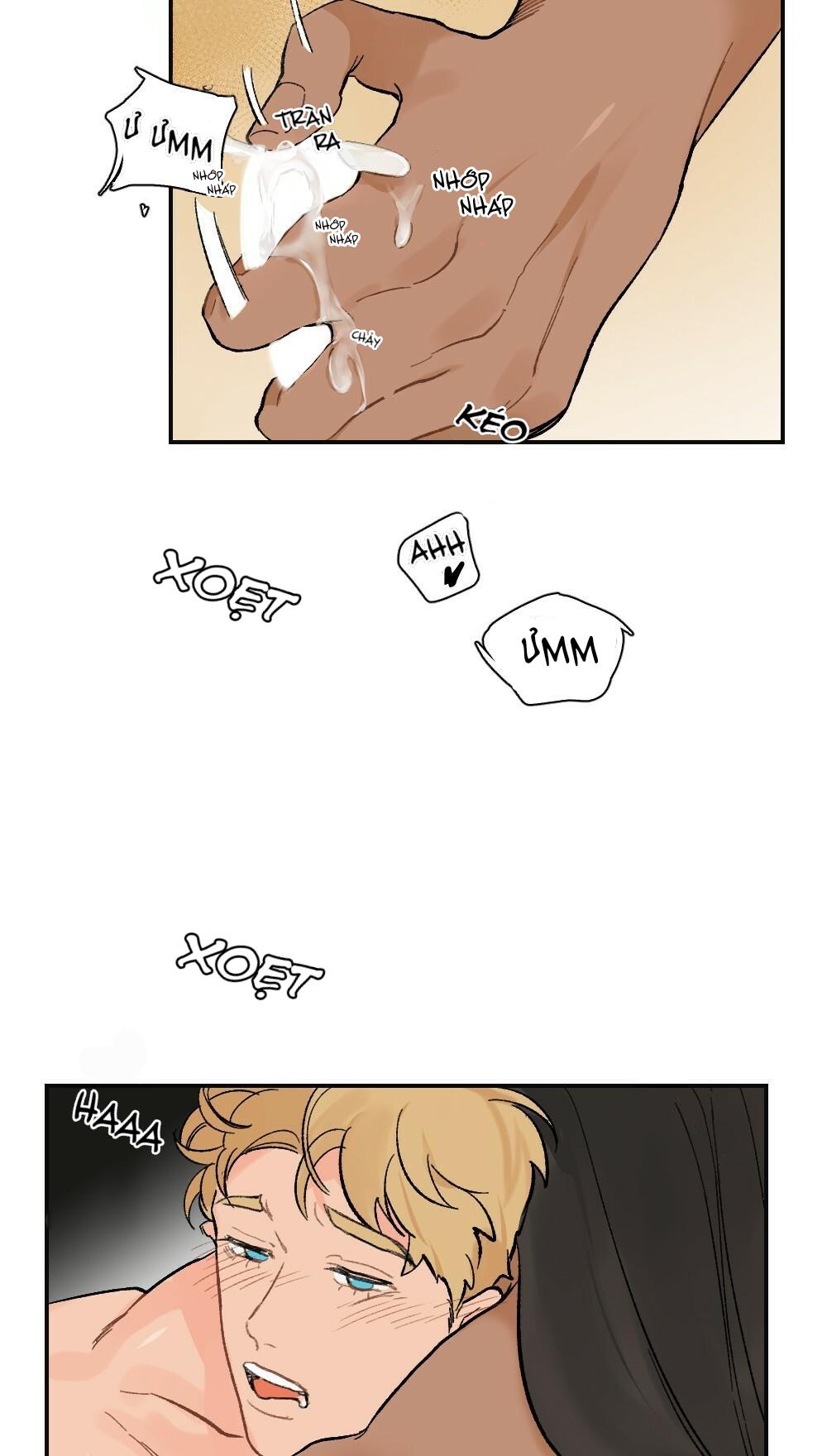 chăm sóc chapter 6 26