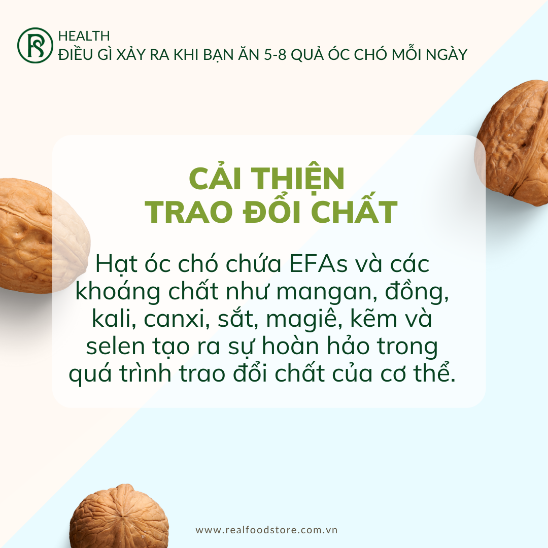 Hạt Óc Chó Nguyên Vỏ Nhập Khẩu Real Food