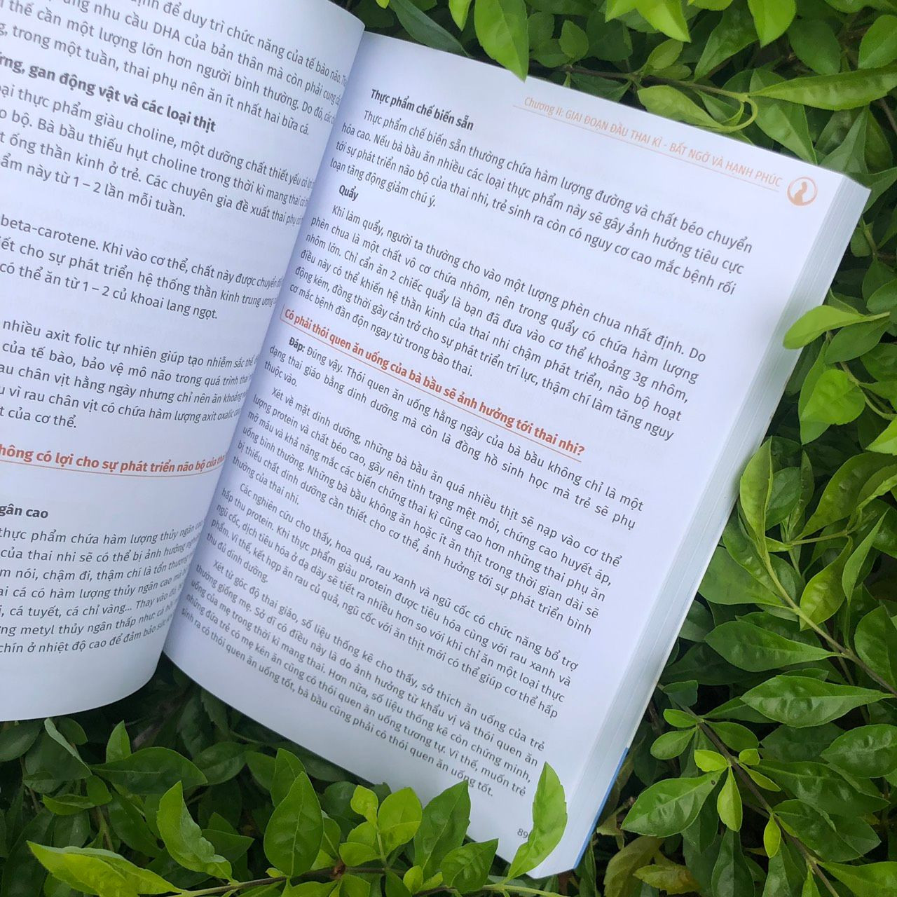 Tri Thức Cho Một Thai Kì Khỏe Mạnh_ML - ảnh 4
