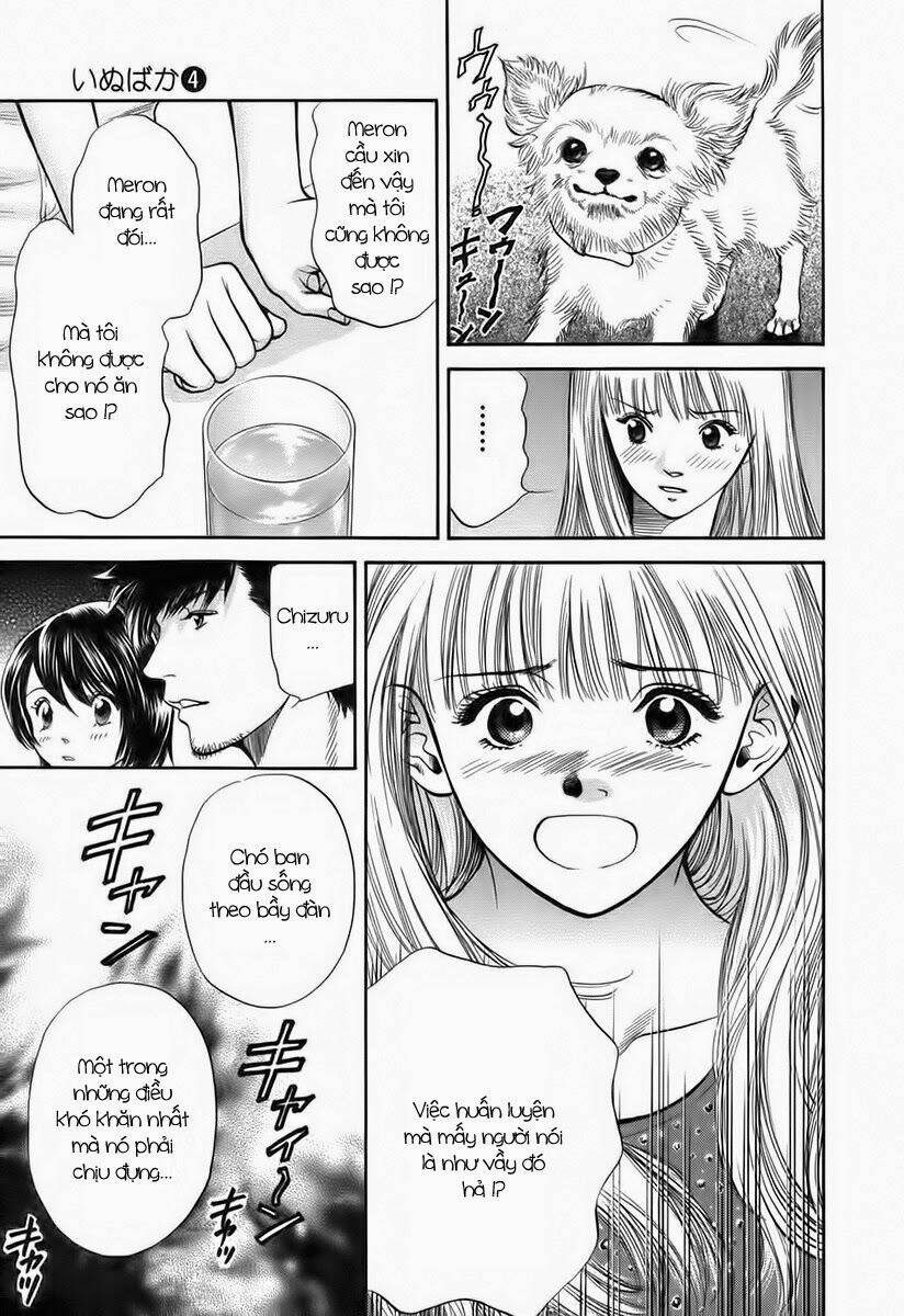 cô nàng yêu chó chapter 37 17
