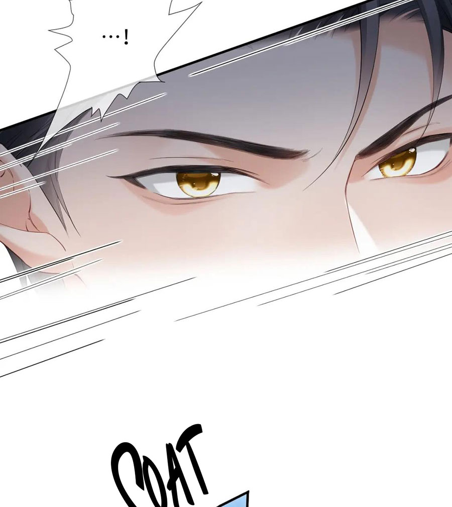 xin hãy ly hôn chapter 99 8