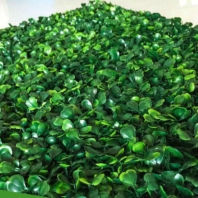 Hạt giống Rau Xà Lách Xoong Mỹ 1gram