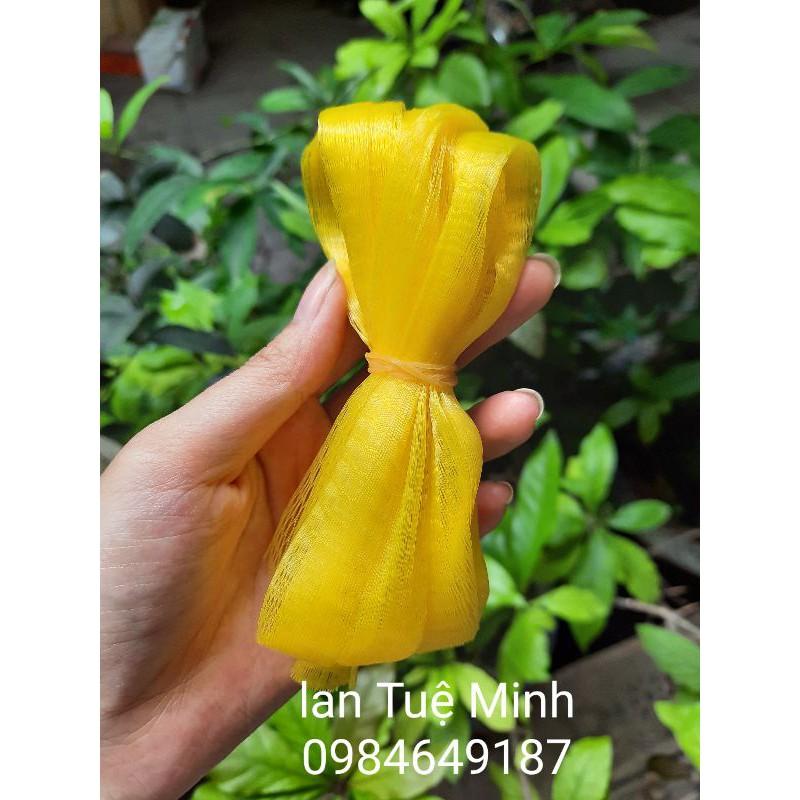 500g lưới chống côn trùng và ruồi vàng