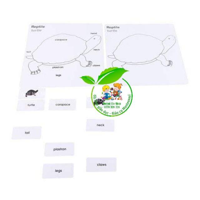 Bộ thẻ học 3 phần động vật (Animal Puzzle Activity Set)