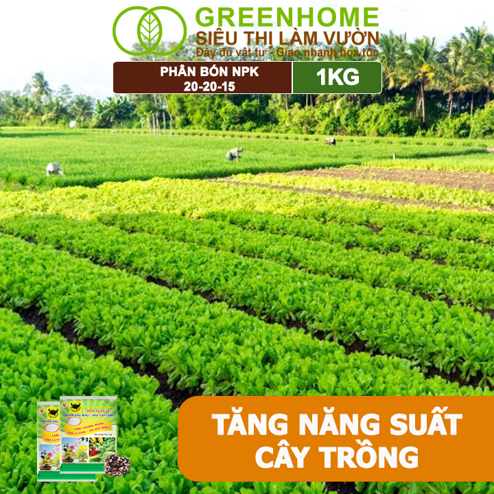 Phân Bón NPK 20-20-15, Greenhome, Đầu Trâu, 1Kg, Chuyên Hoa, Cây Cảnh Giúp Ra Hoa, Hoa Đẹp, Lâu Tàn