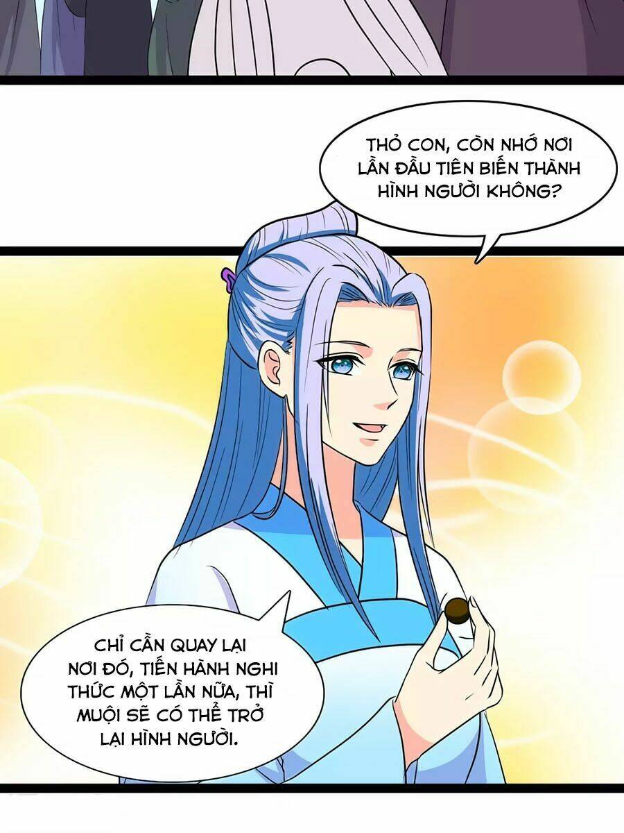 thỏ yêu tiểu vương phi chapter 101 40