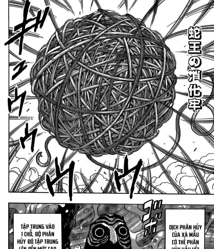 thánh tỏi sành ăn chapter 381 15