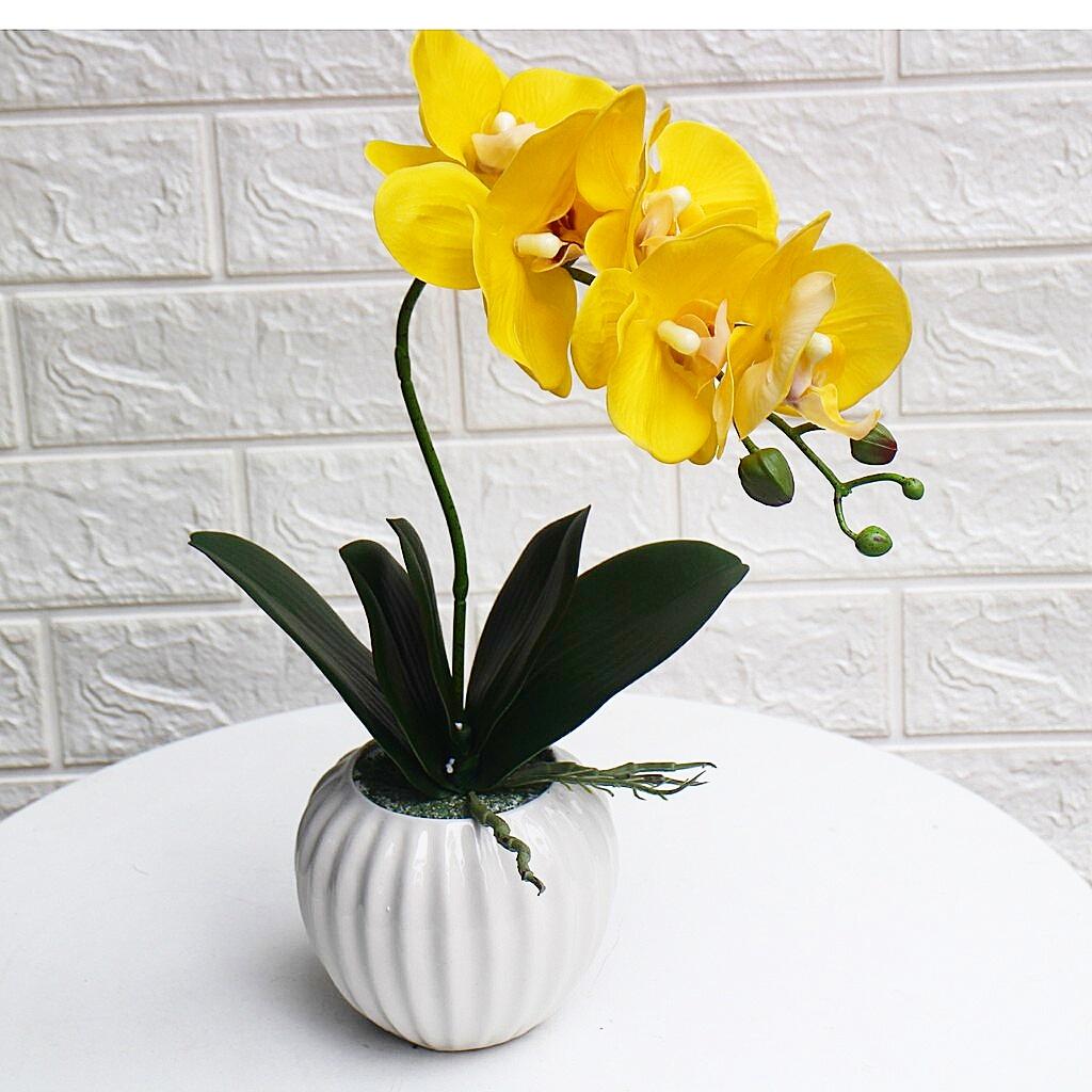 Cành lan 5 bông thân đốm chất liệu cao su cao cấp- giả mà như thật- Không kèm chậu