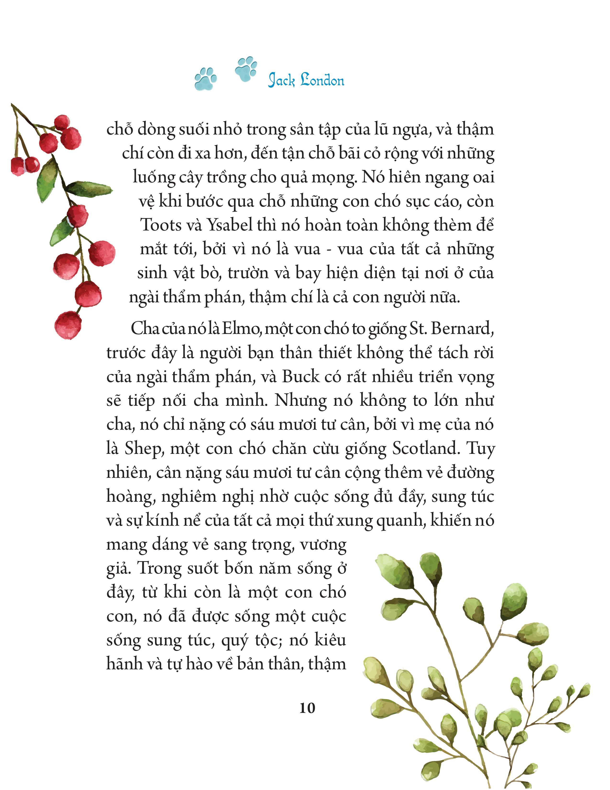 Sách Tác Phẩm Kinh Điển Minh Họa Mới - Tiếng Gọi Của Hoang Dã