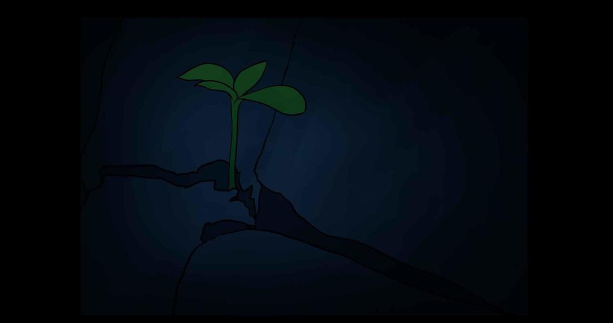 đôi giày pha lê chapter 0 7