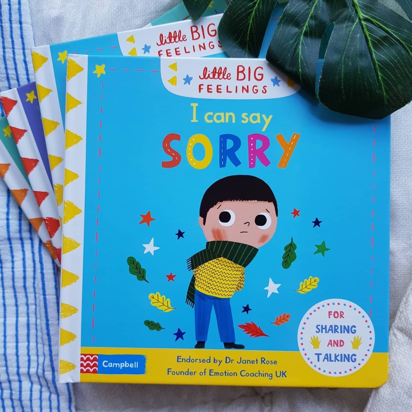 I Can Say Sorry