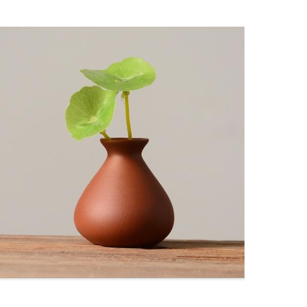 Chậu bình mini trồng cây, trang trí kệ tượng- decor không gian tiểu cảnh