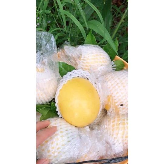 1KG TÚI XỐP BỌC ỔI, NA, MÃNG CẦU, CÁC LOẠI TRÁI CÂY đầy đủ thun, xốp,bì