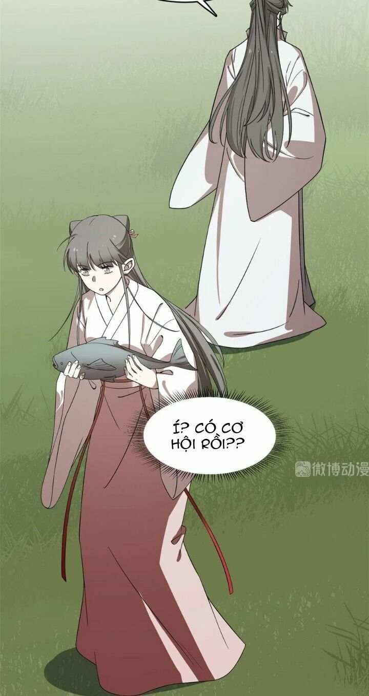 độc bộ thiên hạ: đặc công thần y chapter 241 25