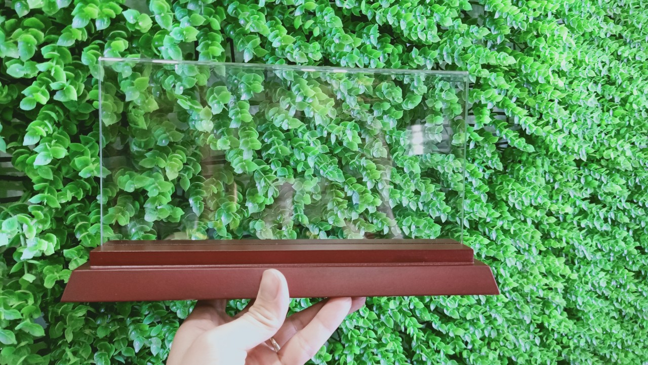 Biển mica gỗ nhị cấp 12x24cm