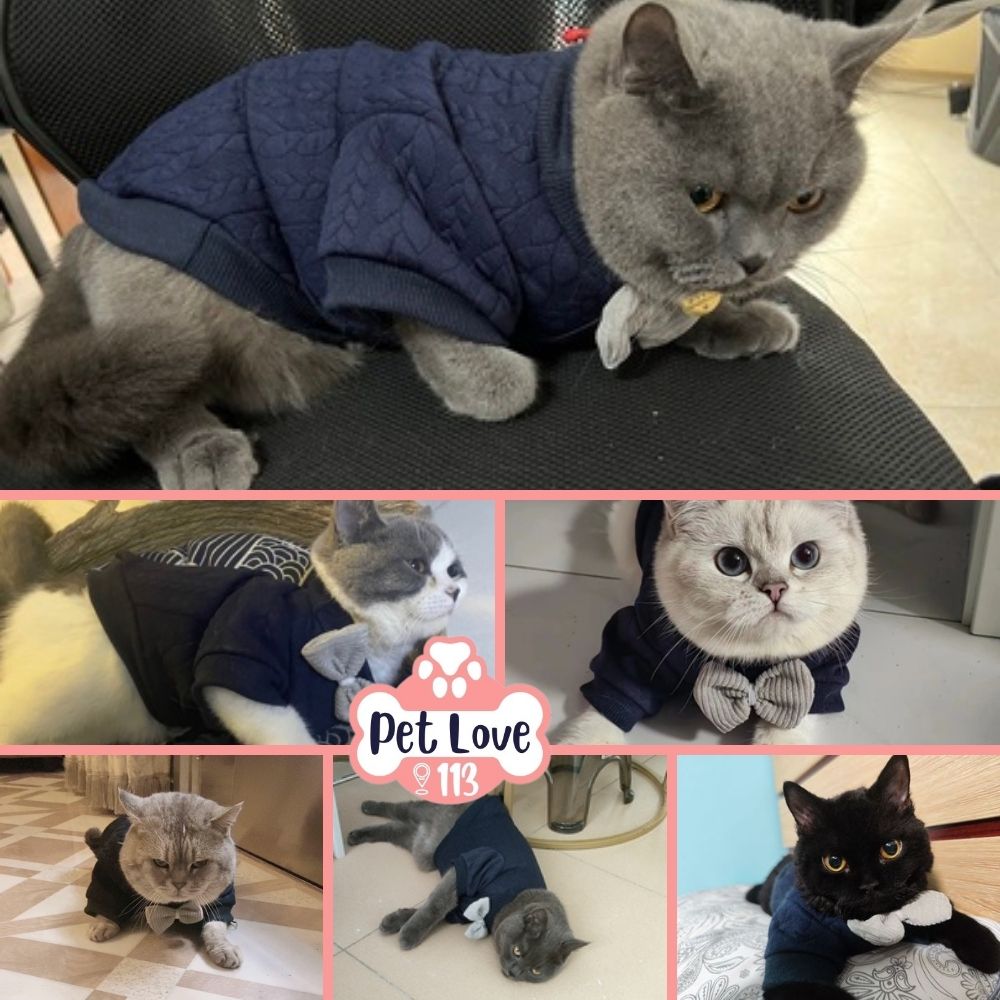 Áo len ấm áp cho chó mèo, có nơ cực yêu, phù hợp cho bé từ 3 - 7 kg
