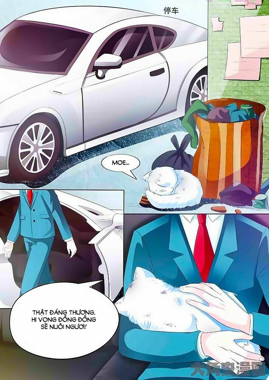 mau lấy con mèo đó ra chapter 1 13