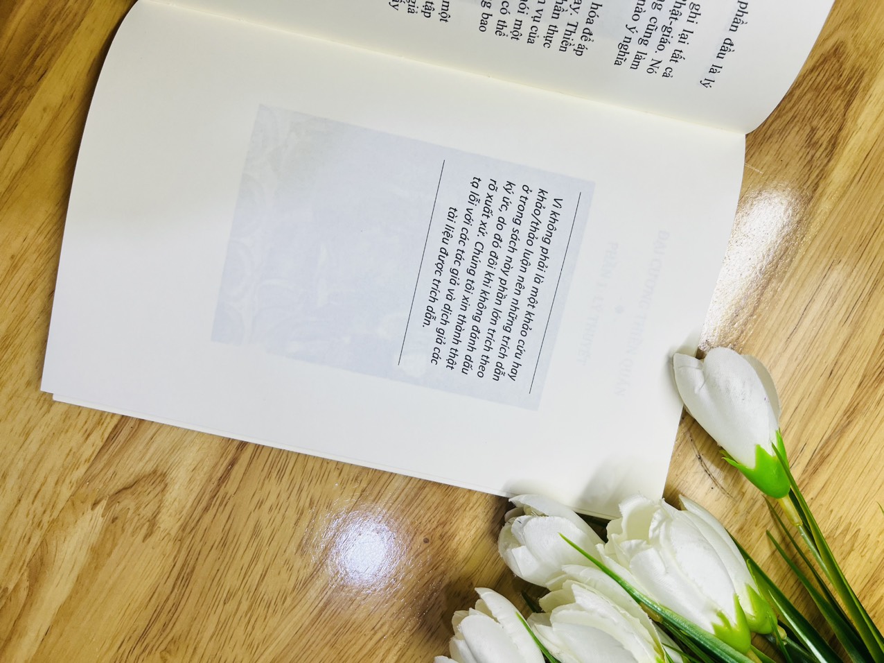 Đại Cương Thiền Quán -Tuệ Sỹ