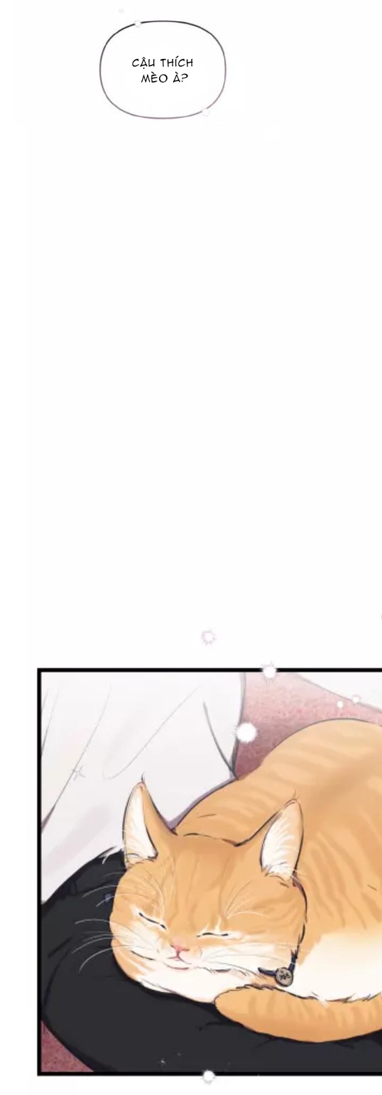 hợp đồng tình yêu chapter 46 29