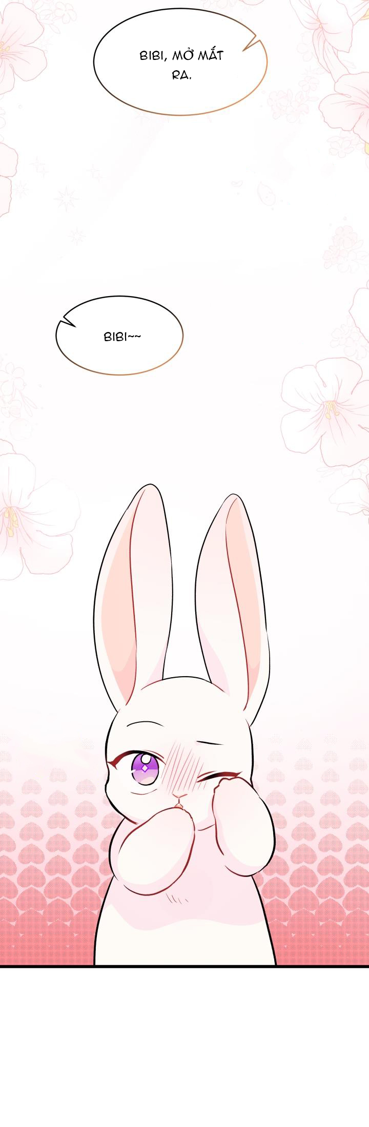 mối liên kết giữa báo đen và bé thỏ chapter 25 26