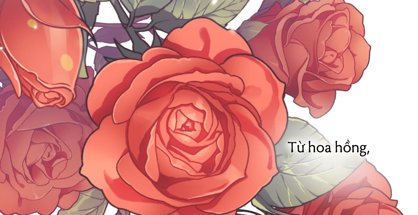 định rõ mối quan hệ chapter 28 163