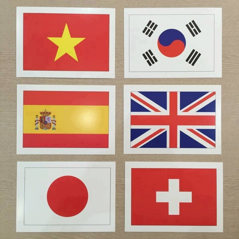Thẻ Flashcard Glenn Doman Cho Bé - Bộ 300 Thẻ Thế Giới Xung Quanh