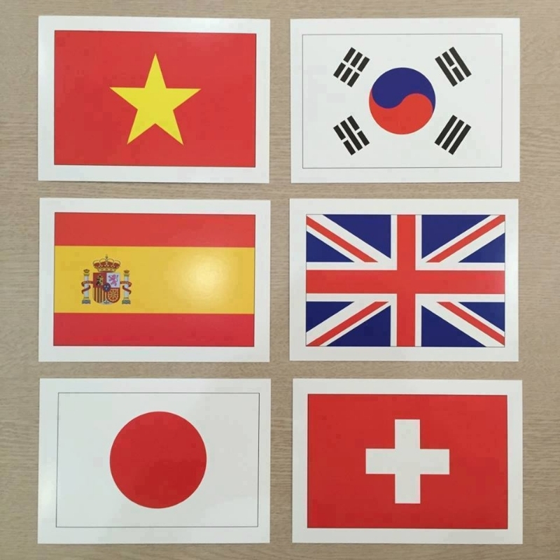 Thẻ  FlashCard Glenn Doman Cho Bé  - Bộ 100  Thẻ Thế Giới Xung Quanh