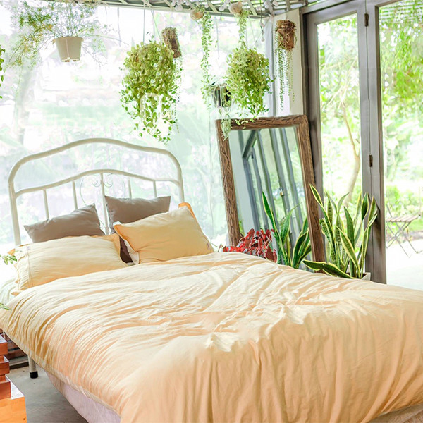 Chăn ga gối Julia 543 satin