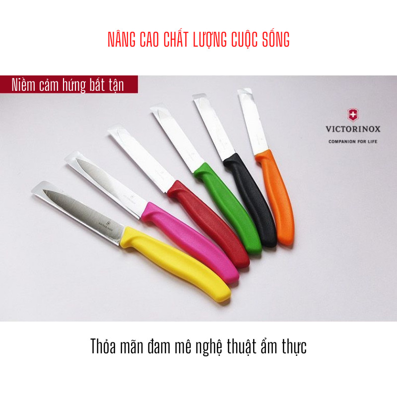 Dụng Cụ Gọt Củ Quả Lưỡi Thẳng 10cm Thép Không Gỉ Cao Cấp VICTORINOX Cán Nhựa Nhiều Màu