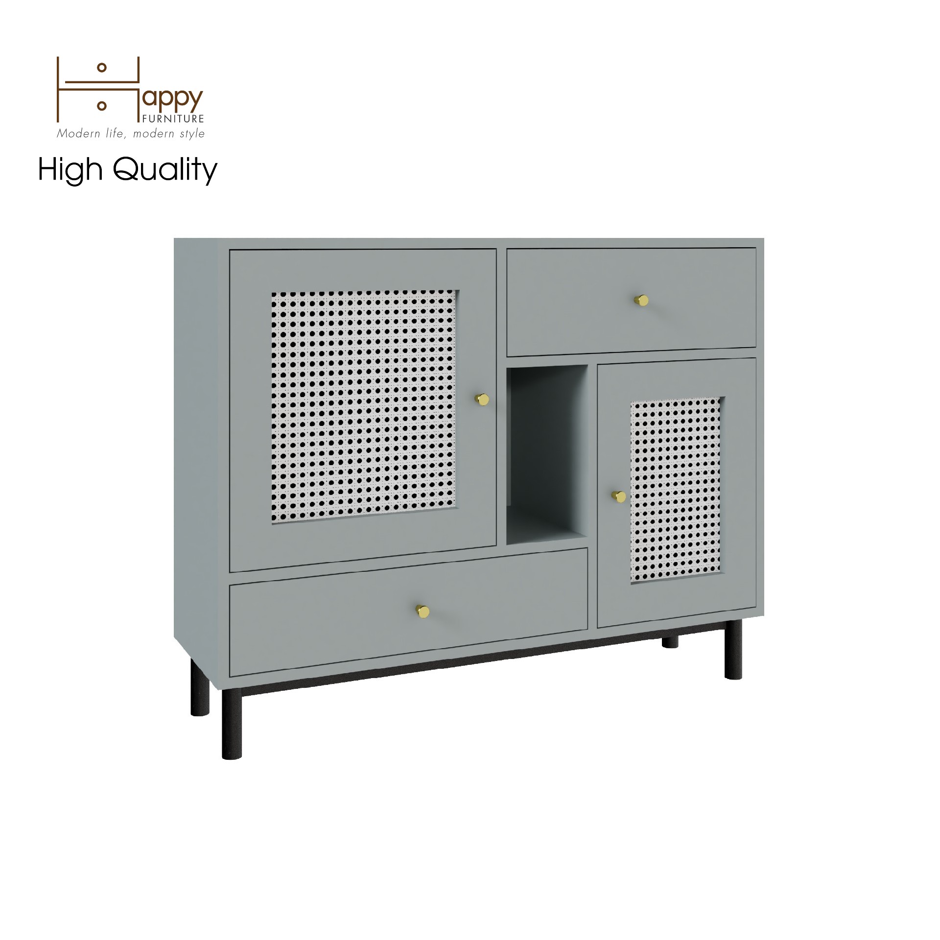 [Happy Home Furniture] ROTAN, Tủ lưu trữ 2 ngăn kéo 2 cửa mở - chân sắt, 100cm x 30cm x 80cm ( DxRxC), TCM_132