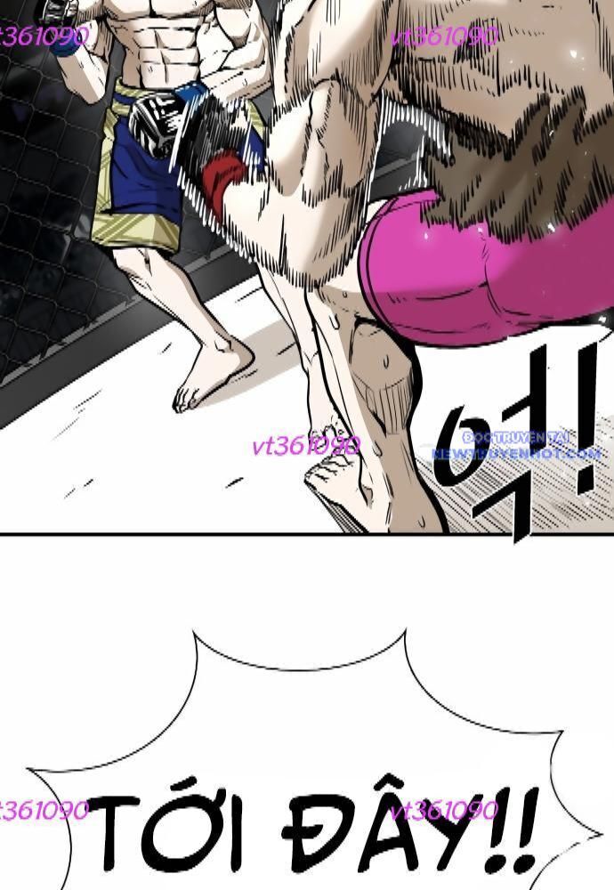 shark - cá mập chapter 310 58