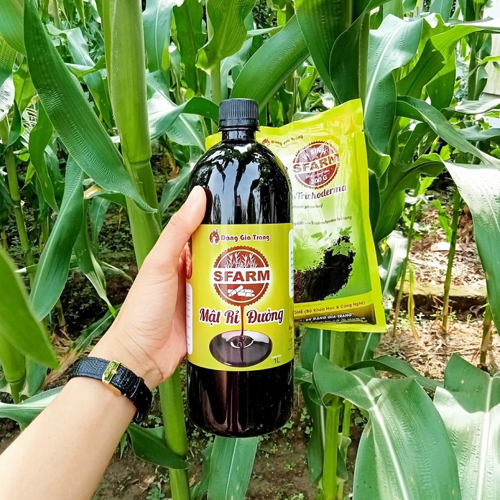 Combo 1 Túi Chế Phẩm EM Sfarm 200gr và 2 Chai Mật Rỉ Đường Sfarm 1lít - Cặp Đôi Ủ Rác Sinh Học Không Mùi