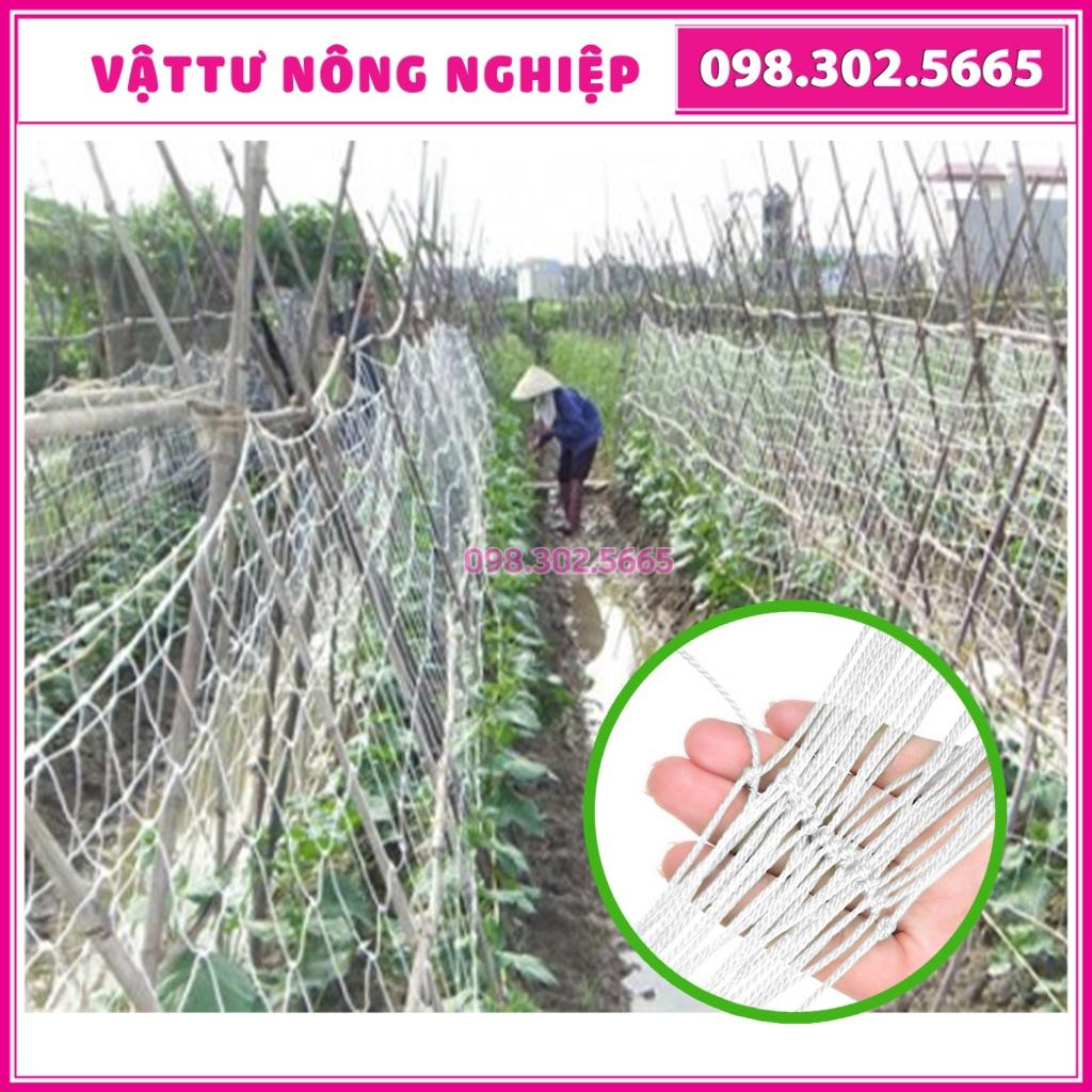 Lưới làm giàn leo sợi kép - 3kg , sợi dai, bền, chắc, độ bền 5 năm