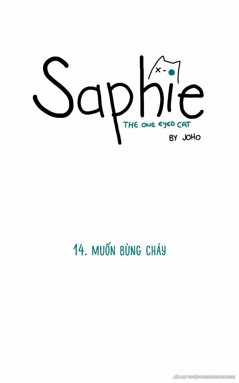 saphie: chú mèo một mắt chapter 14 1