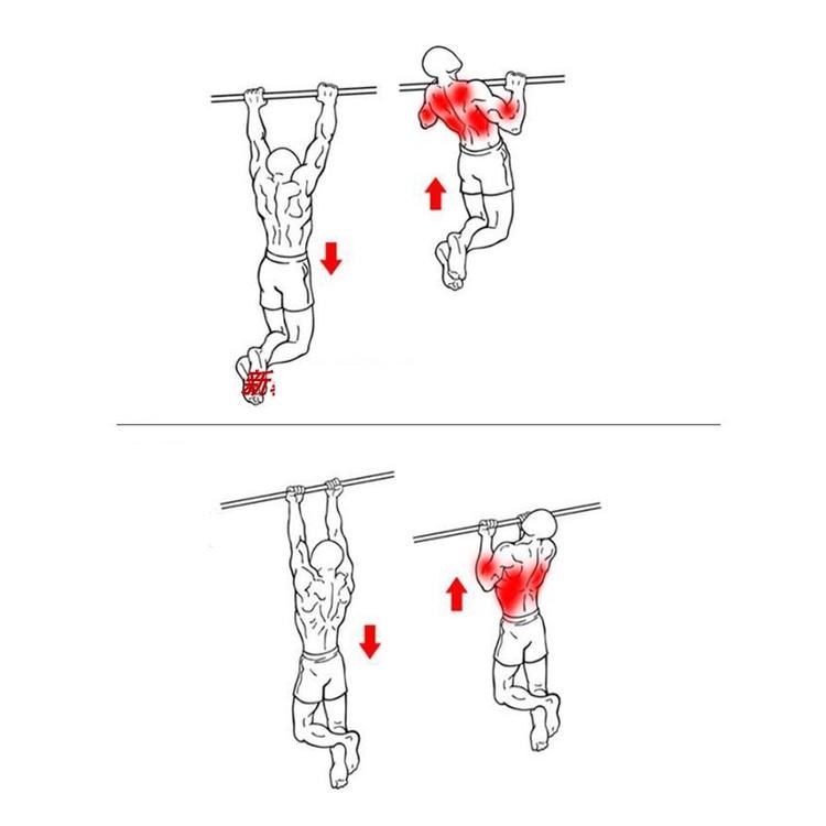 xà đơn tại nhà , Xà đơn gắn cửa, treo tường đa năng kích thước 60-100cm và 80-130cm