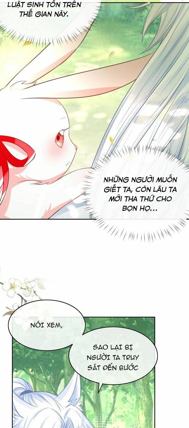 hắc hóa nam chính trực tuyến nuôi thỏ chapter 13 19