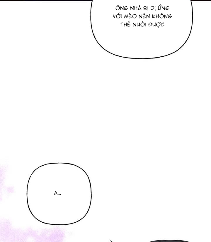 xác suất tình yêu chapter 56 81