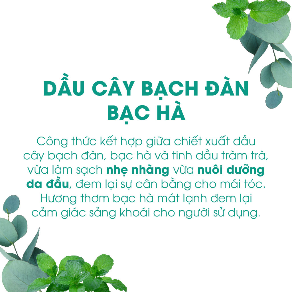 Dầu Gội OGX Chiết Xuất Hoa Anh Đào/ Bạch Đàn Bạc Hà - Dung Tích 385ml